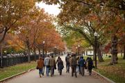 Faculty member leading Journalism graduates through Boston Common during autumn