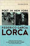 Book cover of Port in New York by Federico Garcia Lorca