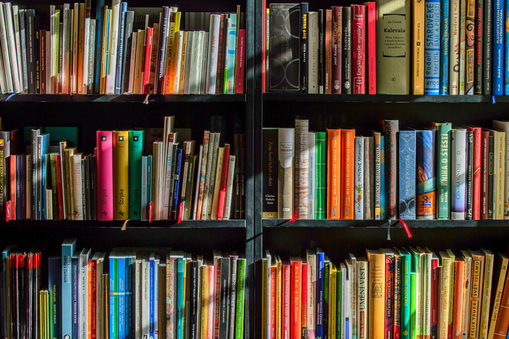 Books on a book shelf|